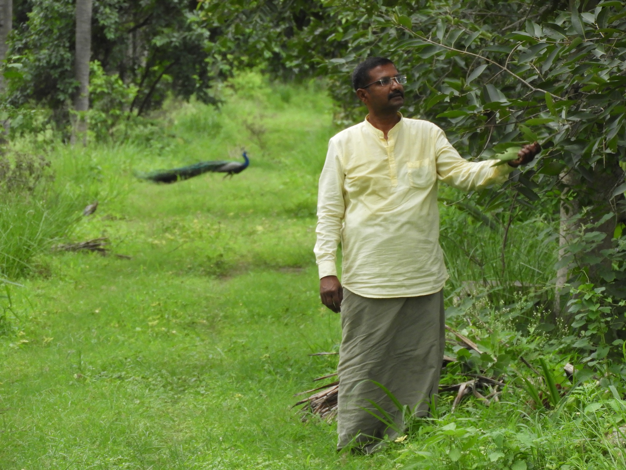 ಹಸಿರುವನದಲ್ಲಿ ಬಿ.ರಾಘವೇಂದ್ರ