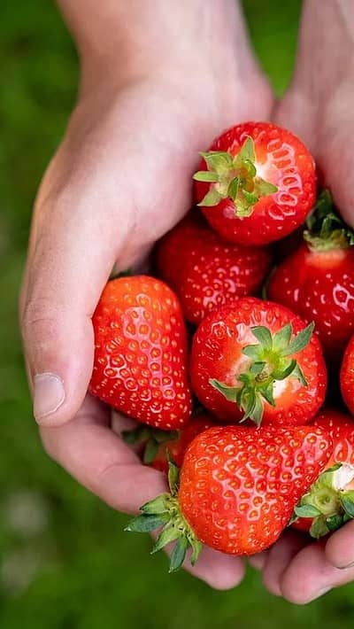 ಕ್ರೀಮ್ ಜೊತೆ ಸ್ಟ್ರಾಬೆರಿ