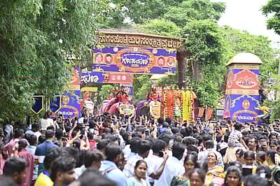 ಮೈಸೂರಿನ ನಾಗರಹೊಳೆ ಹುಲಿ ಸಂರಕ್ಷಿತ ಅರಣ್ಯ ವ್ಯಾಪ್ತಿಯ ವೀರನಹೊಸಹಳ್ಳಿಯಲ್ಲಿ ಸೋಮವಾರ ನಾಡಹಬ್ಬ ದಸರೆಯಲ್ಲಿ ಪಾಲ್ಗೊಳ್ಳುವ ಕ್ಯಾಪ್ಟನ್ ಅಭಿಮನ್ಯು ನೇತೃತ್ವದ 9 ಆನೆಗಳ ‘ಗಜಪಯಣ’ ದಲ್ಲಿ ಅರಣ್ಯ ಸಚಿವ ಈಶ್ವರ್ ಕಂಡ್ರೆ ಅವರು ಪೂಜೆ ಸಲ್ಲಿಸಿದರು. ಸಚಿವ ಕೆ. ವೆಂಕಟೇಶ್, ಸಂಸದ ಸುನಿಲ್ ಬೋಸ್, ಡಿಸಿ ಲಕ್ಷ್ಮಿಕಾಂತ್ ರೆಡ್ಡಿ, ಮರಿಗೌಡ, ಪುಷ್ಪ ಅಮರನಾಥ್, ಶಾಸಕರಾದ ರವಿಶಂಕರ್, ಅನಿಲ್ ಚಿಕ್ಕಮಾದು, ಜಿ.ಡಿ. ಹರೀಶ್ ಗೌಡ, ಐಜಿಪಿ ಬೋರಲಿಂಗಯ್ಯ, ಎಸ್.ಪಿ ವಿಷ್ಣುವರ್ಧನ್ ಹಾಗೂ ಇತರರು ಭಾಗವಹಿಸಿದರು. ಪ್ರಜಾವಾಣಿ ಚಿತ್ರ/ ಅನೂಪ್ ರಾಘ.ಟಿ.
