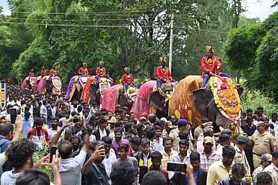 ಮೈಸೂರಿನ ನಾಗರಹೊಳೆ ಹುಲಿ ಸಂರಕ್ಷಿತ ಅರಣ್ಯ ವ್ಯಾಪ್ತಿಯ ವೀರನಹೊಸಹಳ್ಳಿಯಲ್ಲಿ ಸೋಮವಾರ ನಾಡಹಬ್ಬ ದಸರೆಯಲ್ಲಿ ಪಾಲ್ಗೊಳ್ಳುವ ಕ್ಯಾಪ್ಟನ್ ಅಭಿಮನ್ಯು ನೇತೃತ್ವದ 9 ಆನೆಗಳ ‘ಗಜಪಯಣ’ ದಲ್ಲಿ ಅರಣ್ಯ ಸಚಿವ ಈಶ್ವರ್ ಕಂಡ್ರೆ ಅವರು ಪೂಜೆ ಸಲ್ಲಿಸಿದರು. ಸಚಿವ ಕೆ. ವೆಂಕಟೇಶ್, ಸಂಸದ ಸುನಿಲ್ ಬೋಸ್, ಡಿಸಿ ಲಕ್ಷ್ಮಿಕಾಂತ್ ರೆಡ್ಡಿ, ಮರಿಗೌಡ, ಪುಷ್ಪ ಅಮರನಾಥ್, ಶಾಸಕರಾದ ರವಿಶಂಕರ್, ಅನಿಲ್ ಚಿಕ್ಕಮಾದು, ಜಿ.ಡಿ. ಹರೀಶ್ ಗೌಡ, ಐಜಿಪಿ ಬೋರಲಿಂಗಯ್ಯ, ಎಸ್.ಪಿ ವಿಷ್ಣುವರ್ಧನ್ ಹಾಗೂ ಇತರರು ಭಾಗವಹಿಸಿದರು. ಪ್ರಜಾವಾಣಿ ಚಿತ್ರ/ ಅನೂಪ್ ರಾಘ.ಟಿ.