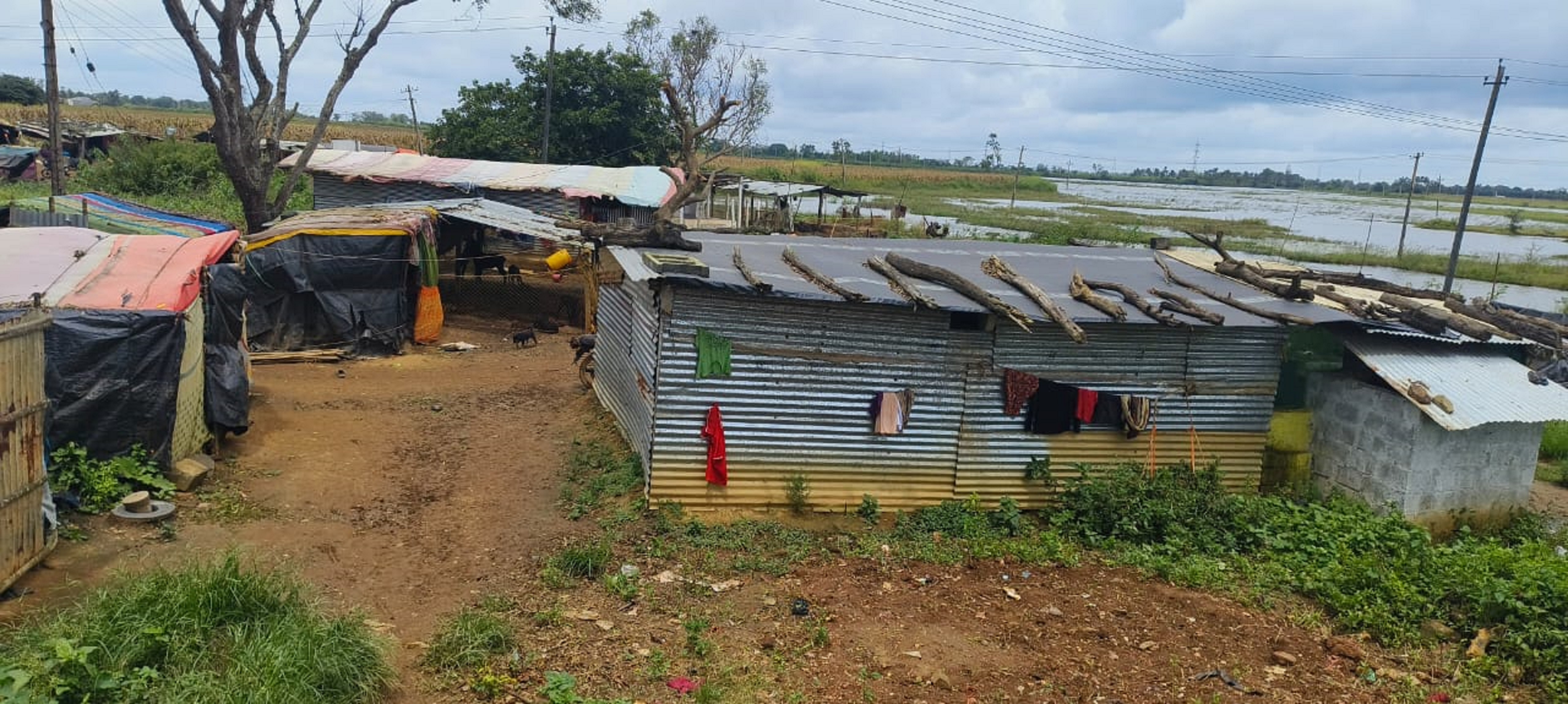 ಹಾವೇರಿ ಜಿಲ್ಲೆಯ ಹಿರೇಕೆರೂರು ತಾಲ್ಲೂಕಿನ ಹಂಸಬಾವಿ ಬಳಿಯ ಚಿಕ್ಕಣಜಿ ಕ್ರಾಸ್ನಲ್ಲಿ (ತಿಳವಳ್ಳಿ ಕ್ರಾಸ್) ಅಲೆಮಾರಿ ಸಿಂದೊಳ್ಳು ಸಮುದಾಯದವರು ವಾಸವಿರುವ ಸ್ಥಳದ ದುಸ್ಥಿತಿ – ಪ್ರಜಾವಾಣಿ ಚಿತ್ರ/ ಹುತ್ತೇಶ ಲಮಾಣಿ