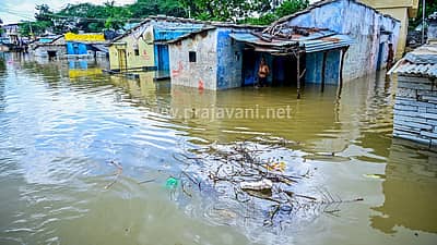 ಕಲಬುರಗಿ ಜಿಲ್ಲೆ ಚಿತ್ತಾಪುರ ತಾಲ್ಲೂಕಿನ ಕಡಬೂರ ಗ್ರಾಮದಲ್ಲಿ ಸೋಮವಾರ (ಸೆ.29) ಭೀಮಾ ನದಿಯ ಪ್ರವಾಹ ಬಂದಿದ್ದರಿಂದ ಮನೆಗಳು ಜಲಾವೃತವಾದ ದೃಶ್ಯ.