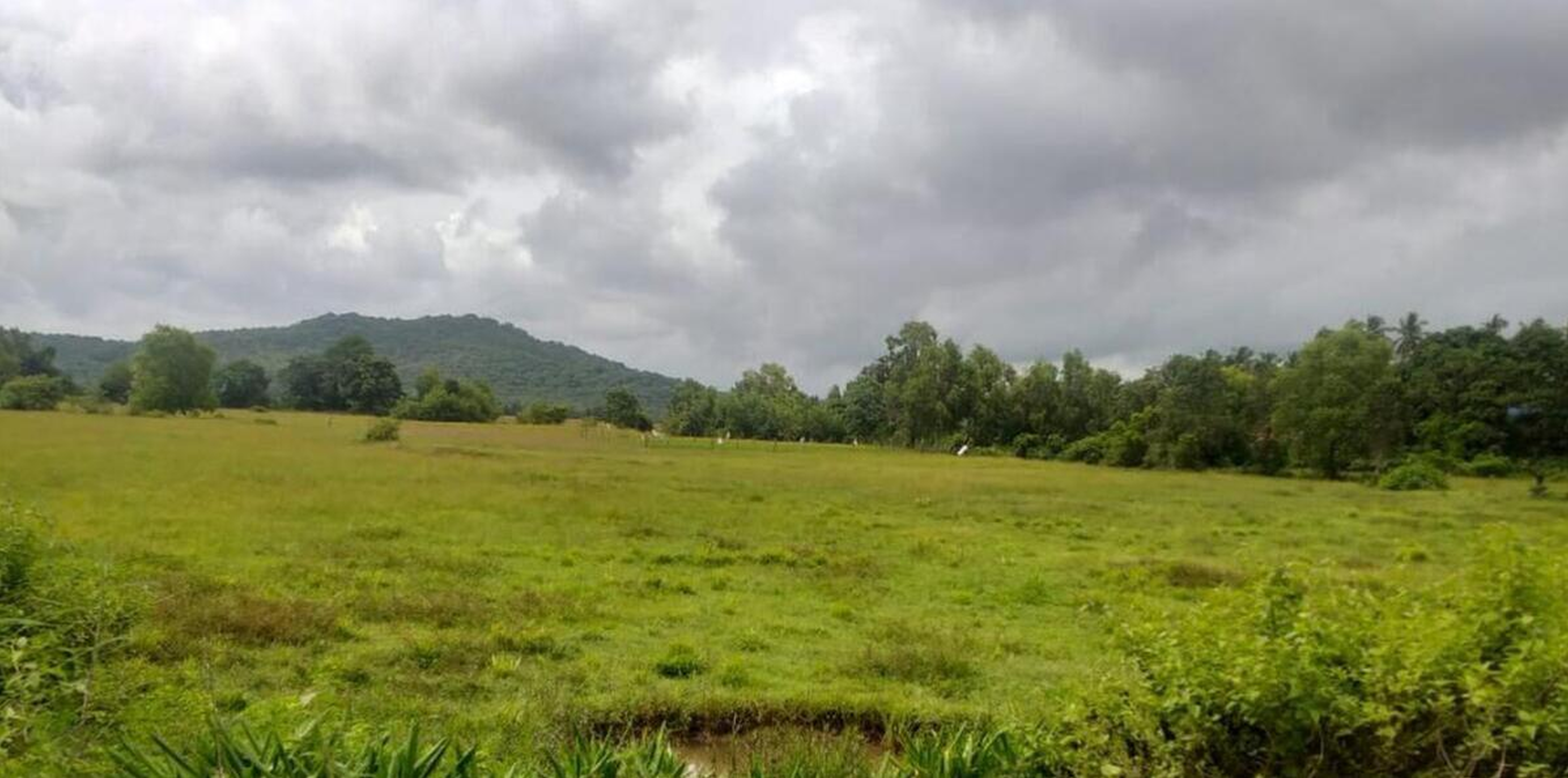 ಕಾರವಾರ ತಾಲ್ಲೂಕಿನ ಮುಡಗೇರಿ ಗ್ರಾಮದಲ್ಲಿ ಕೈಗಾರಿಕೆ ವಸಾಹತು ಸ್ಥಾಪನೆಗೆ ಕೆಐಎಡಿಬಿ ವಶಕ್ಕೆ ಪಡೆದಿದ್ದ ಕೃಷಿ ಭೂಮಿ ಬಂಜರು ಬಿದ್ದಿದೆ.