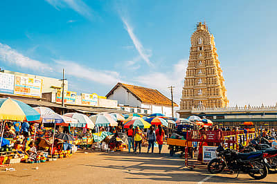 ಮೈಸೂರು:ಬೆಂಗಳೂರಿನ ಸಮೀಪದಲ್ಲಿರುವ ಮೈಸೂರು ಕನ್ನಡಿಗರ ಶ್ರೀಮಂತ ಪರಂಪರೆಗೆ ಹಿಡಿದ ಕೈಗನ್ನಡಿಯಾಗಿದೆ. ಇಲ್ಲಿನ ಭವ್ಯ ಮೈಸೂರು ಅರಮನೆ, ಐತಿಹಾಸಿಕ ಚಾಮುಂಡಿ ಬೆಟ್ಟ ಜೊತೆಗೆ ರೋಮಾಂಚಕ ಅನುಭವ ನೀಡುವ ಬೃಂದಾವನ. ನಗರದ ಶ್ರೀಮಂತ ಪರಂಪರೆ ಮತ್ತು ಹಬ್ಬದ ದೀಪಗಳು ನಿಮ್ಮ ದೀಪಾವಳಿ ಹಬ್ಬದ ಸಂಭ್ರಮವನ್ನು ದುಪ್ಪಟ್ಟು ಮಾಡುತ್ತವೆ.