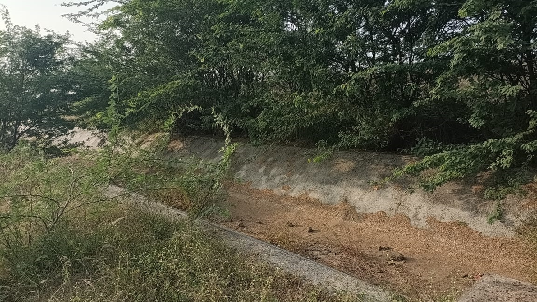 ನರಗುಂದ ತಾಲ್ಲೂಕಿನ ಮಲಪ್ರಭಾ ಕಾಲುವೆಗಳು ಮುಳ್ಳುಕಂಟಿ ಹೂಳಿನಿಂದ ಕೂಡಿರುವುದು