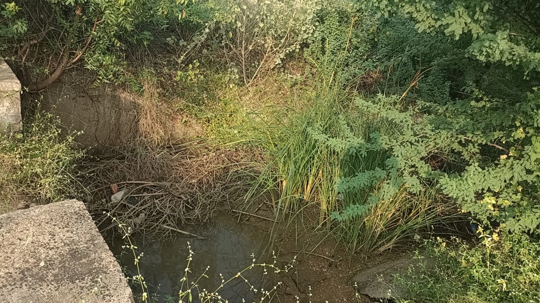 ಕಾಲುವೆ ಎಲ್ಲಿದೆ ಎಂದು ಹುಡುಕುವ ಪರಿಸ್ಥಿತಿ