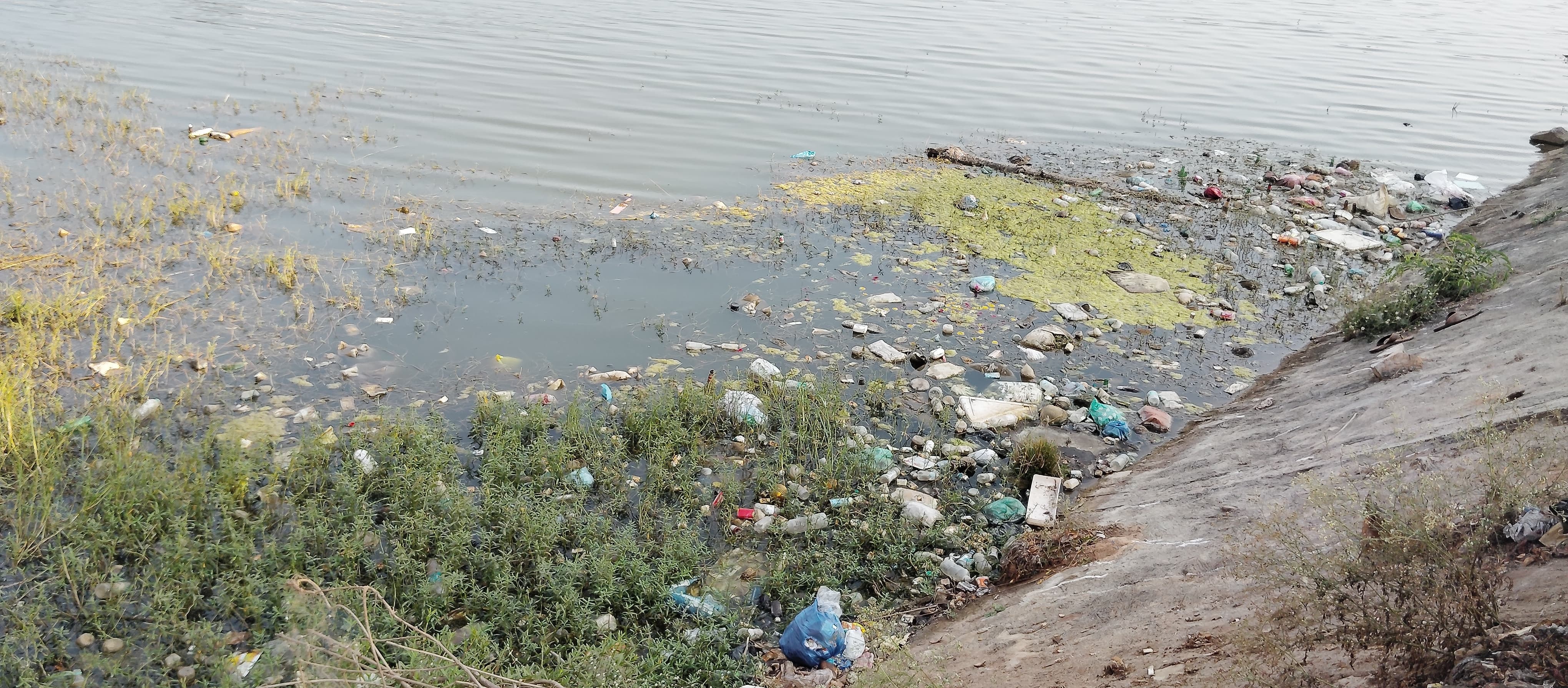 ಹೊಳಲ್ಕೆರೆ ಪಟ್ಟಣದ ಶಿವನಕೆರೆಯಲ್ಲಿ ತುಂಬಿರುವ ಪ್ಲಾಸ್ಟಿಕ್ ತ್ಯಾಜ್ಯ