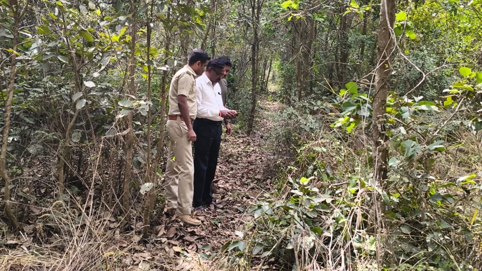 ಟ್ರಾನ್ಸೆಕ್ಟ್ ಲೈನ್ನಲ್ಲಿ ಅರಣ್ಯ ಇಲಾಖೆ ಅಧಿಕಾರಿಗಳು