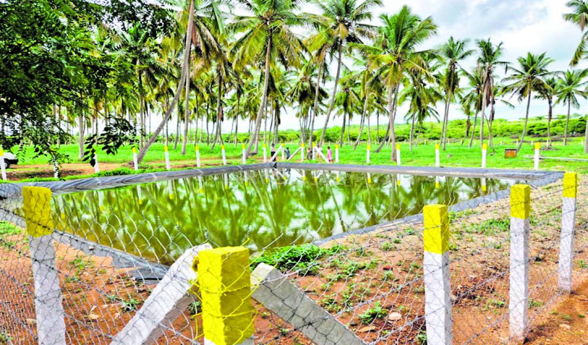 ಭದ್ರ ಬೇಲಿ ನಿರ್ಮಿಸಿರುವ ಕೃಷಿ ಹೊಂಡಕ್ಕೊಂದು ಉದಾಹರಣೆ ಈ ಹೊಂಡ