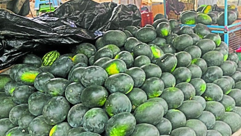 ಕಲ್ಲಂಗಡಿ ಹಣ್ಣಿನ ರಾಶಿ