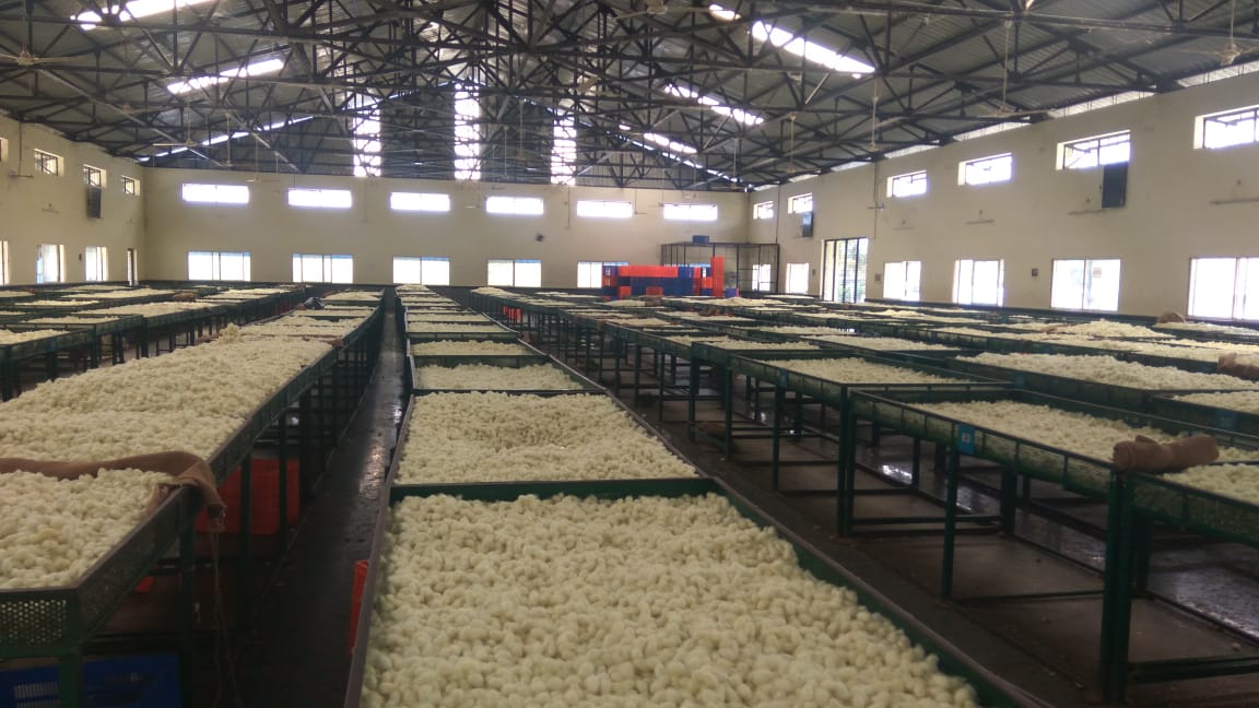 ಕನಕಪುರ ರೇಷ್ಮೆ ಮಾರುಕಟ್ಟೆ