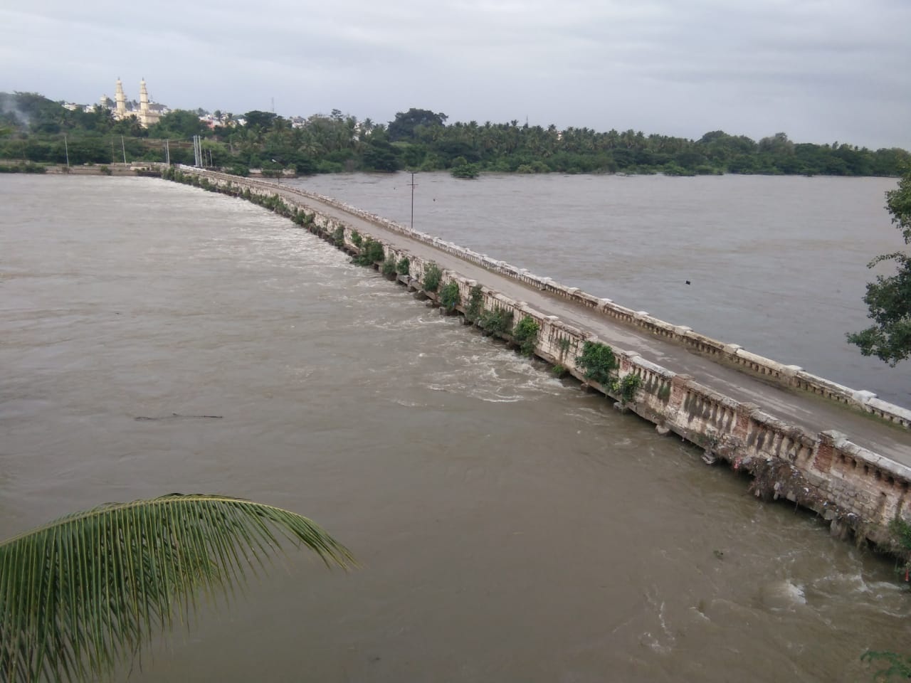 ಶ್ರೀರಂಗಪಟ್ಟಣದ ವೆಲ್ಲಿಸ್ಲಿ ಸೇತುವೆ ಸಮೀಪ ಭೂರ್ಗರೆಯುತ್ತಿರುವ ಕಾವೇರಿ (ಪ್ರಜಾವಾಣಿ ಚಿತ್ರ: ನಂಜೇಗೌಡ)