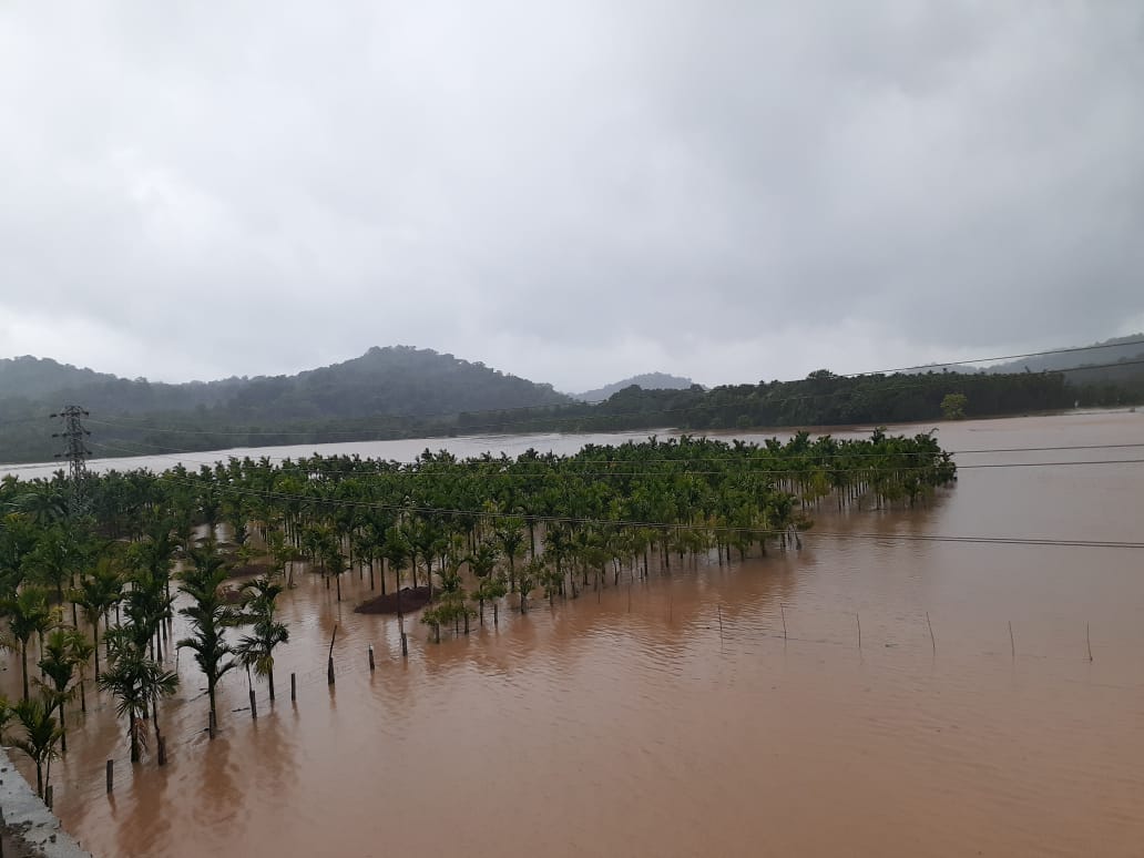 ಚಿಕ್ಕಮಗಳೂರು ಜಿಲ್ಲೆಯ ಎನ್. ಆರ್.ಪುರ ತುಂಗಾ ನದಿಯ ಭೋರ್ಗರೆದು ಹರಿಯುತ್ತಿದ್ದು, ತೋಟಗಳು ಜಲಾವೃತವಾಗಿದೆ.