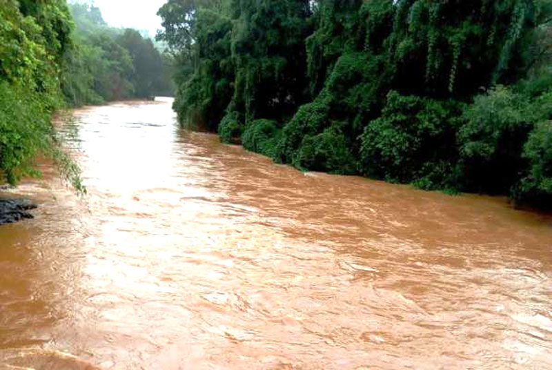 ಖಾನಾಪುರ ಅರಣ್ಯದಲ್ಲಿ ಉಕ್ಕಿ ಹರಿಯುತ್ತಿರುವ ಮಲಪ್ರಭಾ ನದಿ