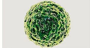 नोरोवायरस: इंग्लैंड में 154 मामले सामने आए, इस वायरस के बारे में जानना बेहद ज़रूरी है