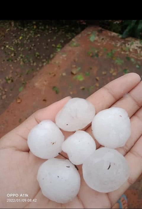 किसानों की ओले गिरने से फसल हुई नस्टआत्मा पहुंची संकट के पार