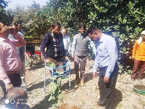 कलेक्टर महोदय द्वारा किया गया पौधारोपण