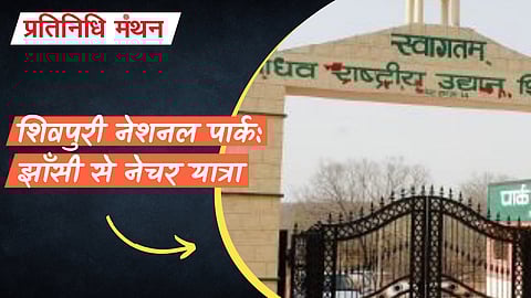 शिवपुरी नेशनल पार्क: झाँसी से नेचर यात्रा