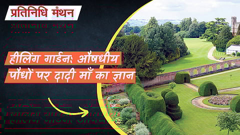 हीलिंग गार्डन: औषधीय पौधों पर दादी माँ का ज्ञान