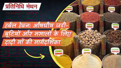 हर्बल हेवन: औषधीय जड़ी-बूटियों और मसालों के लिए दादी माँ की मार्गदर्शिका
