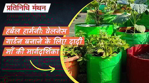 हर्बल हार्मनी: वेलनेस गार्डन बनाने के लिए दादी माँ की मार्गदर्शिका