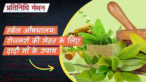 हर्बल औषधालय: रोजमर्रा की सेहत के लिए दादी माँ के उपाय