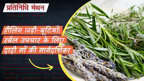 हीलिंग जड़ी-बूटियाँ: हर्बल उपचार के लिए दादी माँ की मार्गदर्शिका