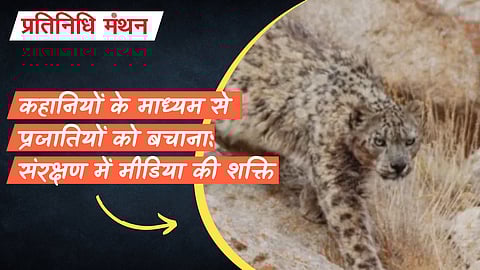 कहानियों के माध्यम से प्रजातियों को बचाना: संरक्षण में मीडिया की शक्ति