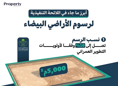 اللائحة التنفيذية لرسوم الأراضي البيضاء