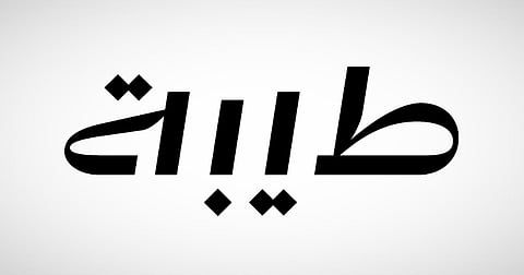 شعار شركة "طيبة للاستثمار"