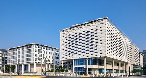 مشروع "ذا لينك"