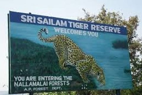 Srisailam Tiger Reserve