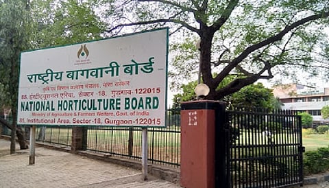 Priya Ranjan (IFoS) gets tenure extension as NHB MD