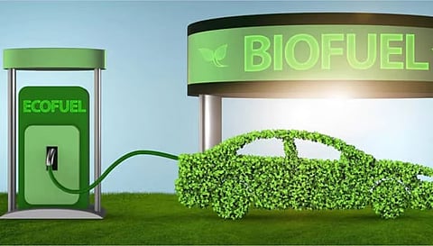 OMCs raise procurement price of ethanol produced from C-heavy molasses