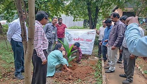 RINL organises mass tree plantation drive as part of Swachhata Hi Seva 2024