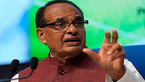 Solar panels can be major source of providing electricity to farmers: Chouhan