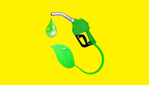 Ethanol production capacity jumps over 4-fold to 1,810 crore litres in 11 years: Official