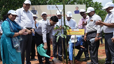 OMC plants 1 lakh trees under ‘Ek Ped Maa ke Naam 2.0’ on PM's birthday