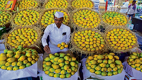 Alt="Indian Mango Exports"