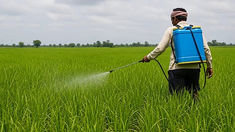 Health hazard: Complete ban on insecticide paraquat dichloride soon