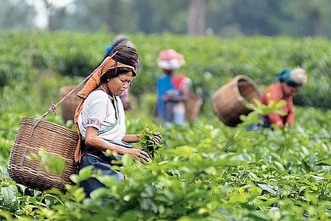 Govt signs USD 304 million pact for improving power transmission network in Assam