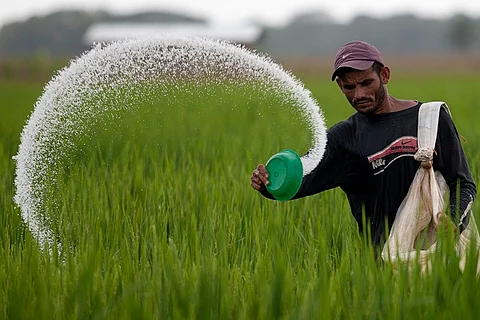 PESB didn’t find a suitable candidate for Director (Technical) post at Madras Fertilizers Ltd