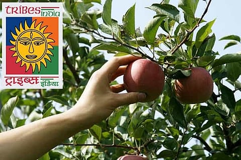 TRIFED unveils 100 new forest fresh organic products, all can be bought online