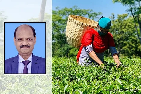 Pramod Kumar Sahoo (IOFS) appointed as Deputy Chairman of Tea Board of India