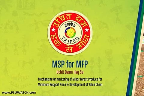 TRIFED purchases over 1 lakh unsold items from tribals, will sell them online