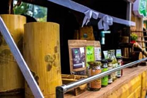 TRIFED opens 37,259 Van Dhan Vikas Kendra in less than 18 months