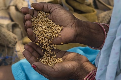 Facilitating food security: FCI moves record foodgrains during lockdown