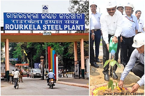 One lakh saplings to be planted inside Rourkela Steel Plant