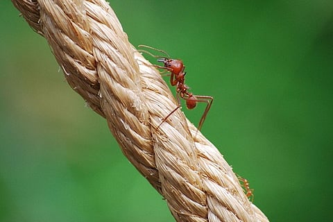 In FY18-19, IFFCO-Tokio’s ascent has been nothing short of spectacular. Know how