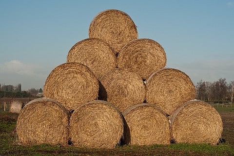 SC verdict on RBI Feb 12 order could swell NPAs in power sector by Rs 17,000 cr